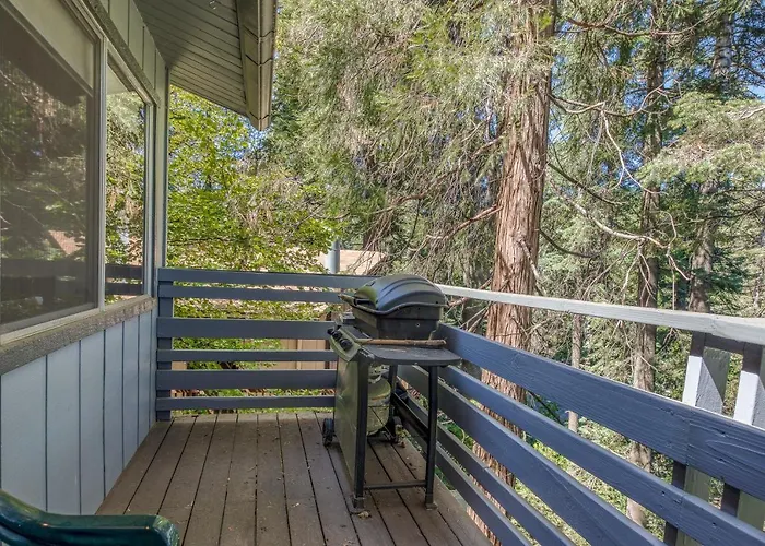 The Treehouse